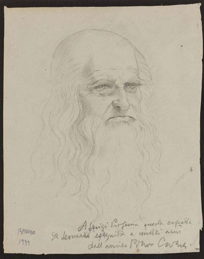 Senza Titolo (leonardo da Vinci)