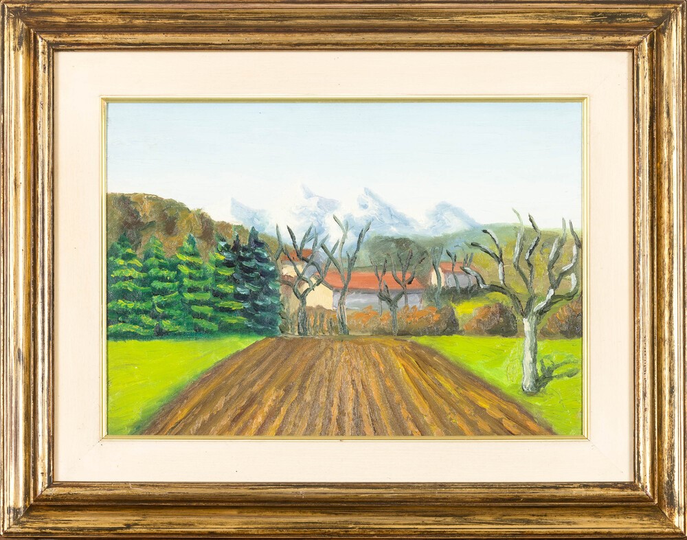 Salvo - Paesaggio
