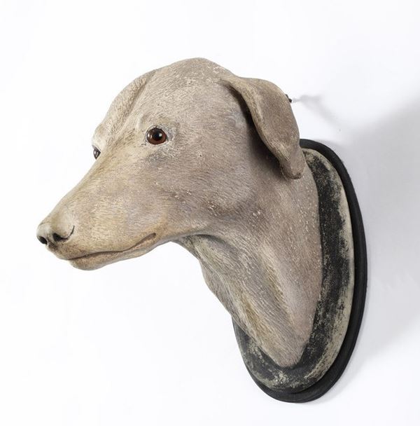Testa di cane. Plasticatore del XIX-XX secolo