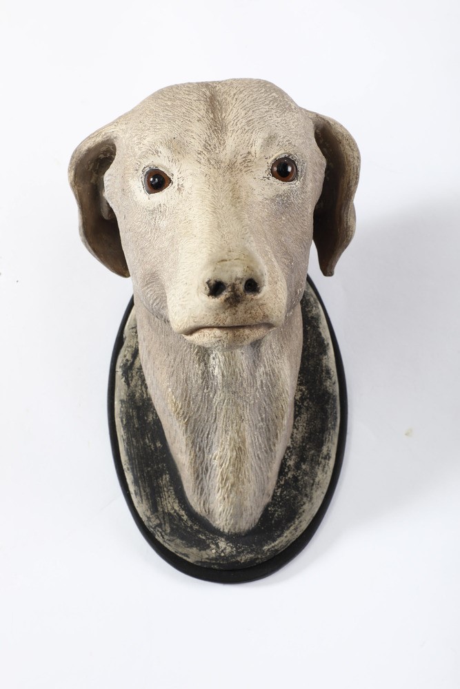 Testa di Cane. Plasticatore del XIX-XX Secolo