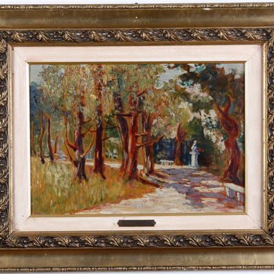 Parco con Alberi
