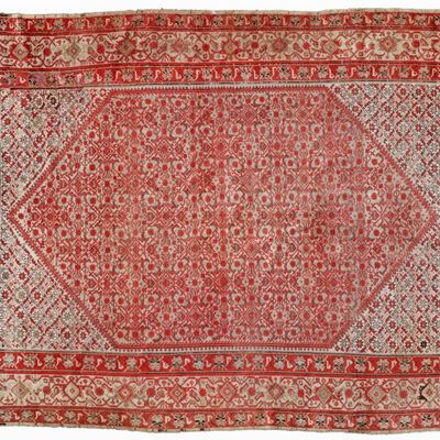 Kelley Malayer, Persia Inizio XX Secolo