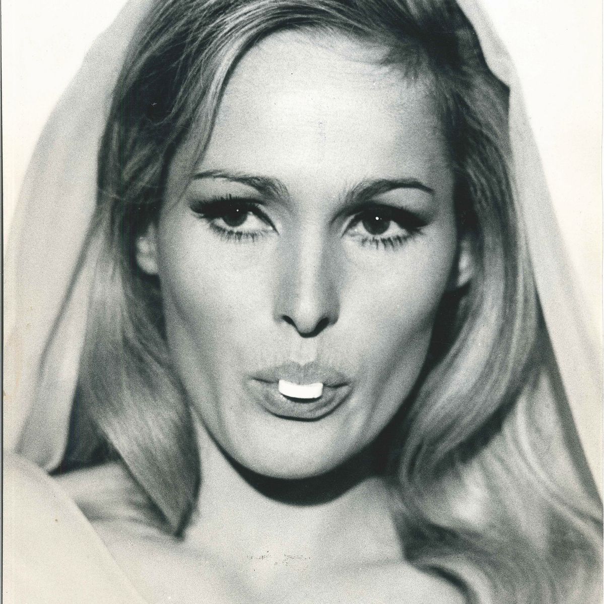 Terry o'neill - Lotto Formato da Quattro Scatti Fotografici Senza Titolo (ursula Andress)