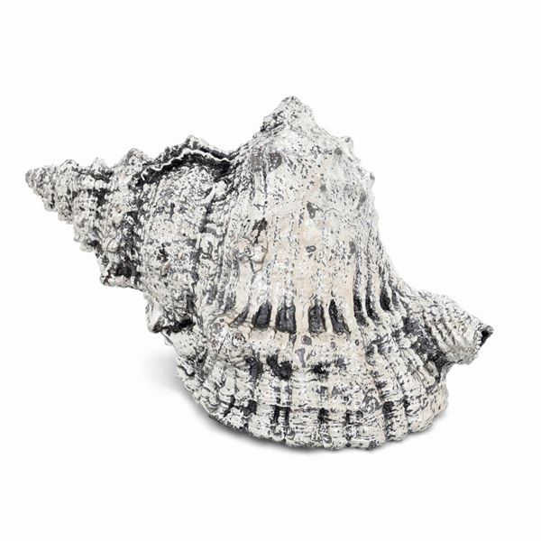 Conchiglia rivestita in argento. Etichetta a scudo Mario Buccellati. Italia XX-XXI secolo