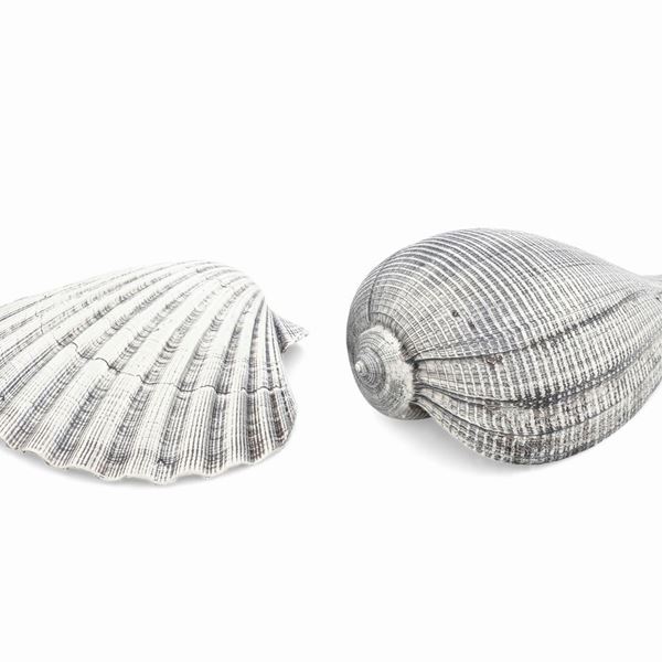 Due conchiglie rivestite in argento. Etichetta a scudo Mario Buccellati. Italia XX-XXI secolo