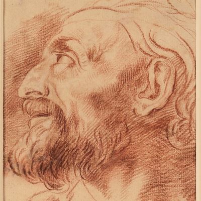 Scuola del XVIII Secolo Profilo di Vecchio Barbuto