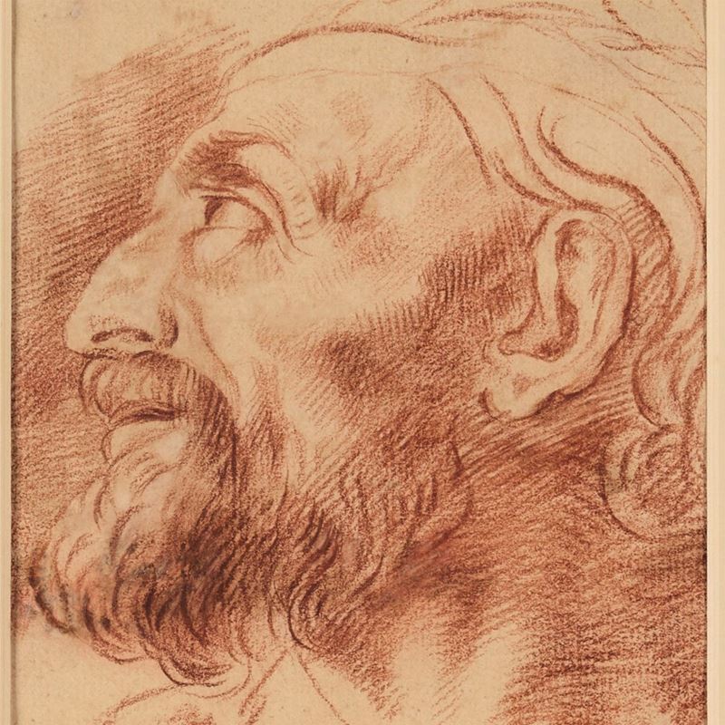 Scuola del XVIII secolo Profilo di vecchio barbuto  - matita rossa su carta - Asta Pittura Antica - Cambi Casa d'Aste