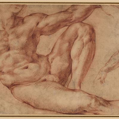 Michelangelo Buonarroti (1453 Caprese-1564 Roma), D'après la Creazione di Adamo