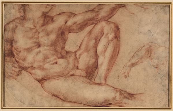 Michelangelo Buonarroti (1453 Caprese-1564 Roma), d'après La creazione di Adamo