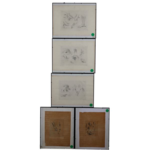 Sette stampe a soggetto anatomico