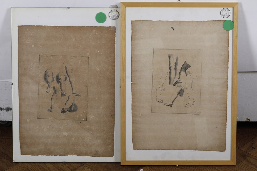 Sette Stampe a Soggetto Anatomico