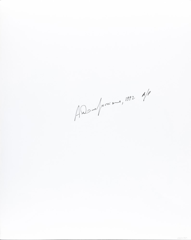 Antonio Guccione - Tanya Fourie