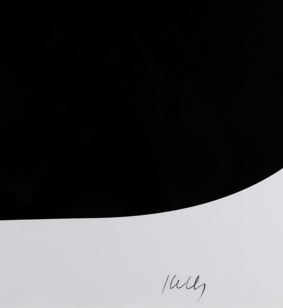 Ellsworth Kelly - Black Variation II