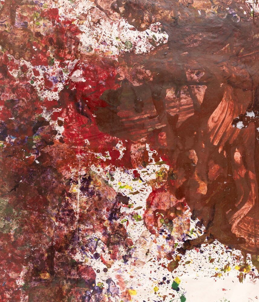 Hermann Nitsch - Senza Titolo (action Painting)