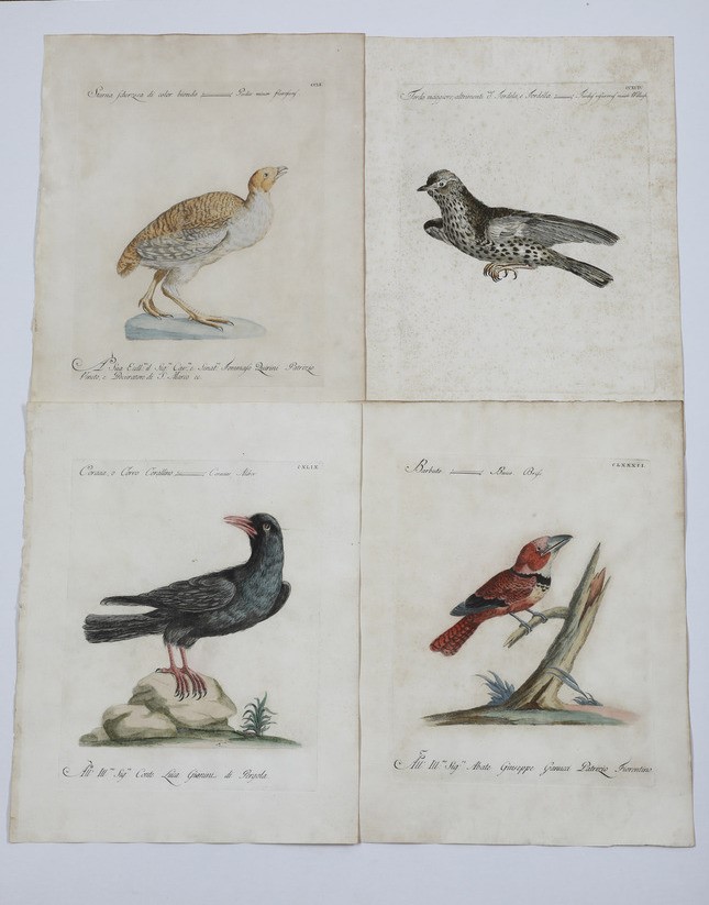 Xaverio Manetti Saverio Manetti, Lorenzo Lorenzi e Violante Vanni. Storia Naturale degli Uccelli....
