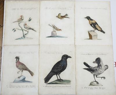 Xaverio Manetti Saverio Manetti, Lorenzo Lorenzi e Violante Vanni. Storia Naturale degli Uccelli....