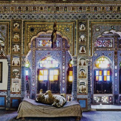 India Song, The Joy Of Ahimsa