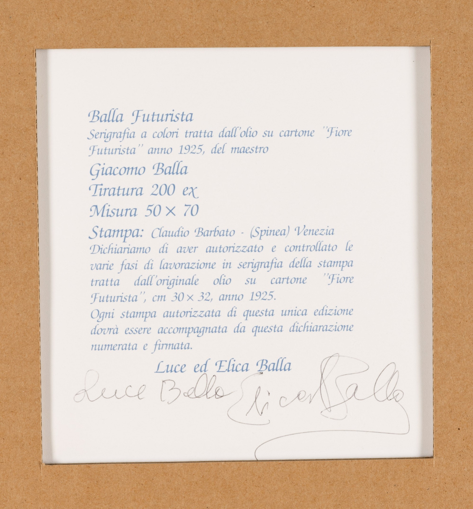 Giacomo Balla - Fiore Futurista
