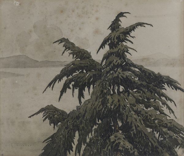 Cima di albero, ètude de cèdre Josè Mingret, acquerello su carta