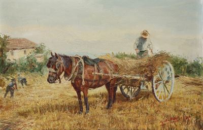 Raccolta del Grano