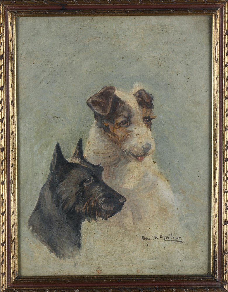 Angelo Silvio Galli - Cani