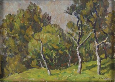 Firmato Vairo Paesaggio Boschivo