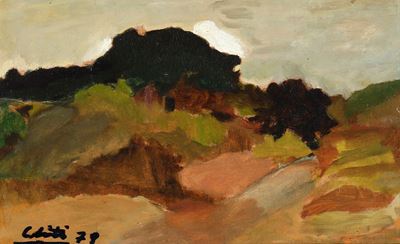 Paesaggio Naturalistico