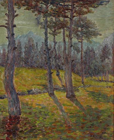 Alberi nel Bosco