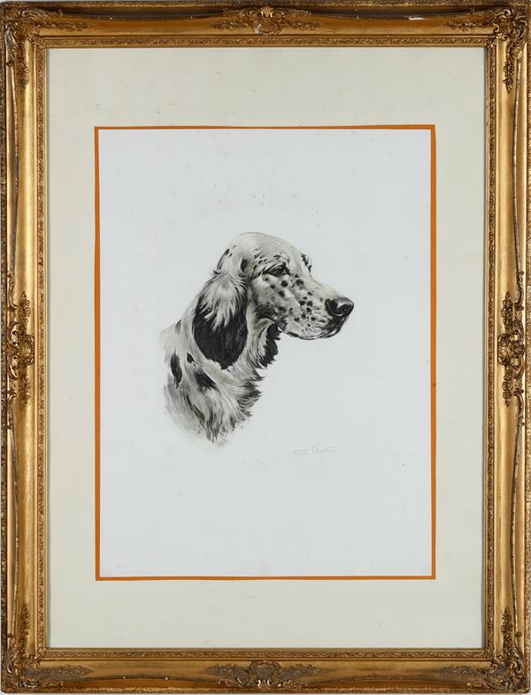 Coppia di dipinti raffiguranti teste di cani razza setter, firmati