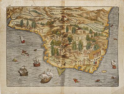 Giovanni Battista Ramusio Carta Silografica Raffigurante Parte del Brasile... Venezia, 1556