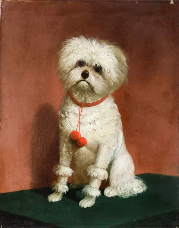 Ritratto di cane, 1856