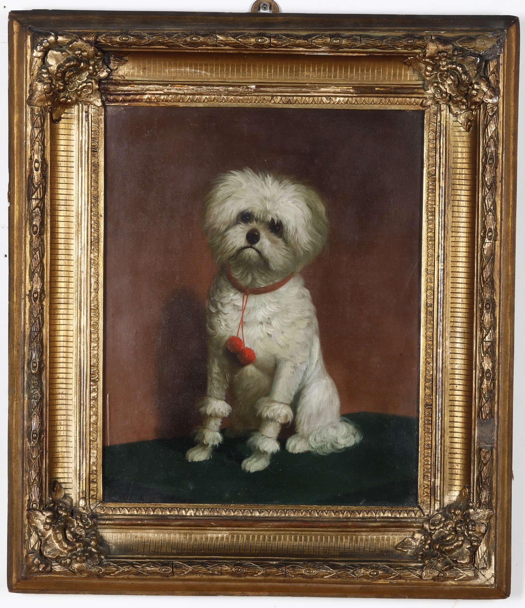 Giulio Carlini - Ritratto di Cane, 1856