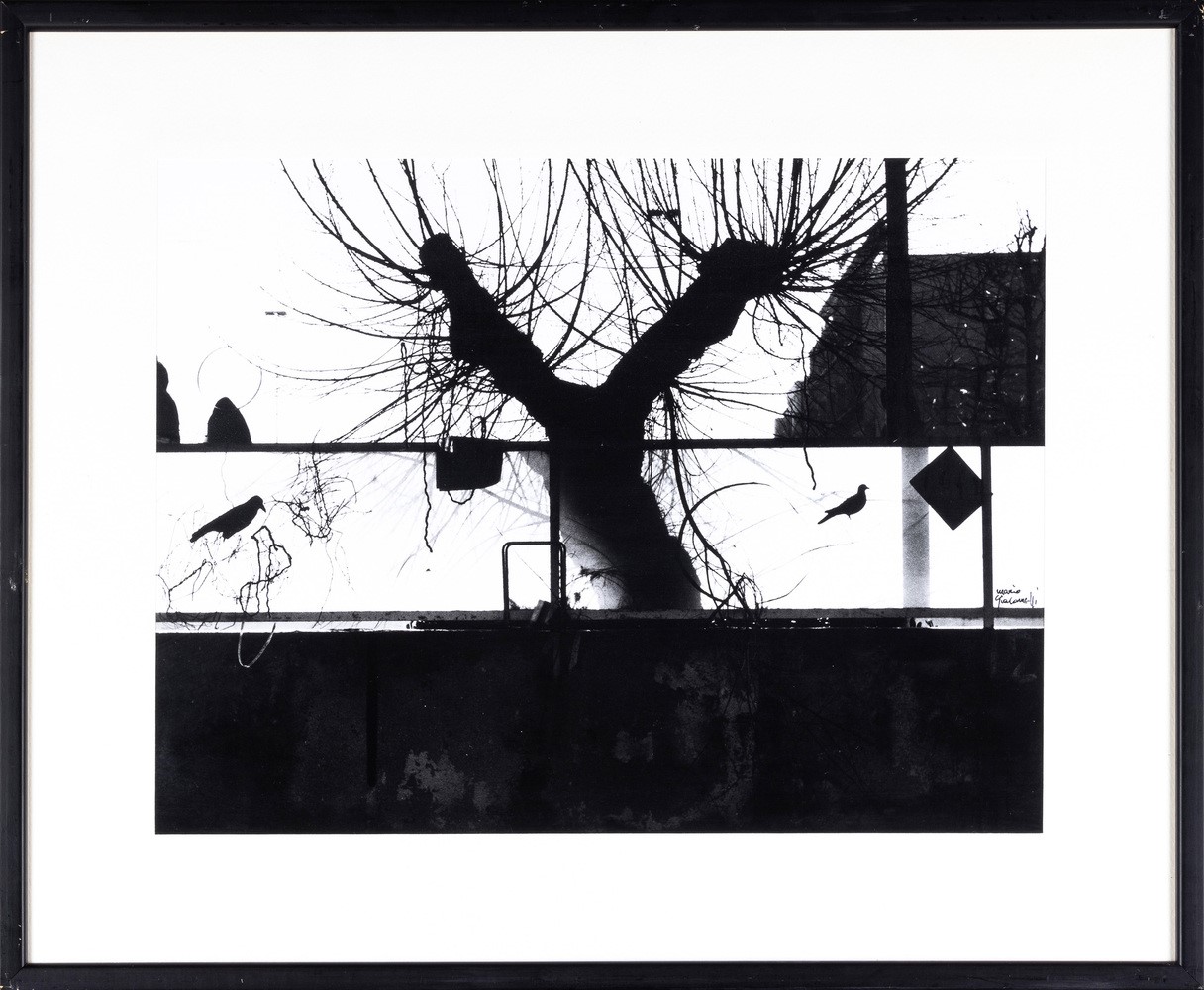 Mario Giacomelli - In Riva al Mare