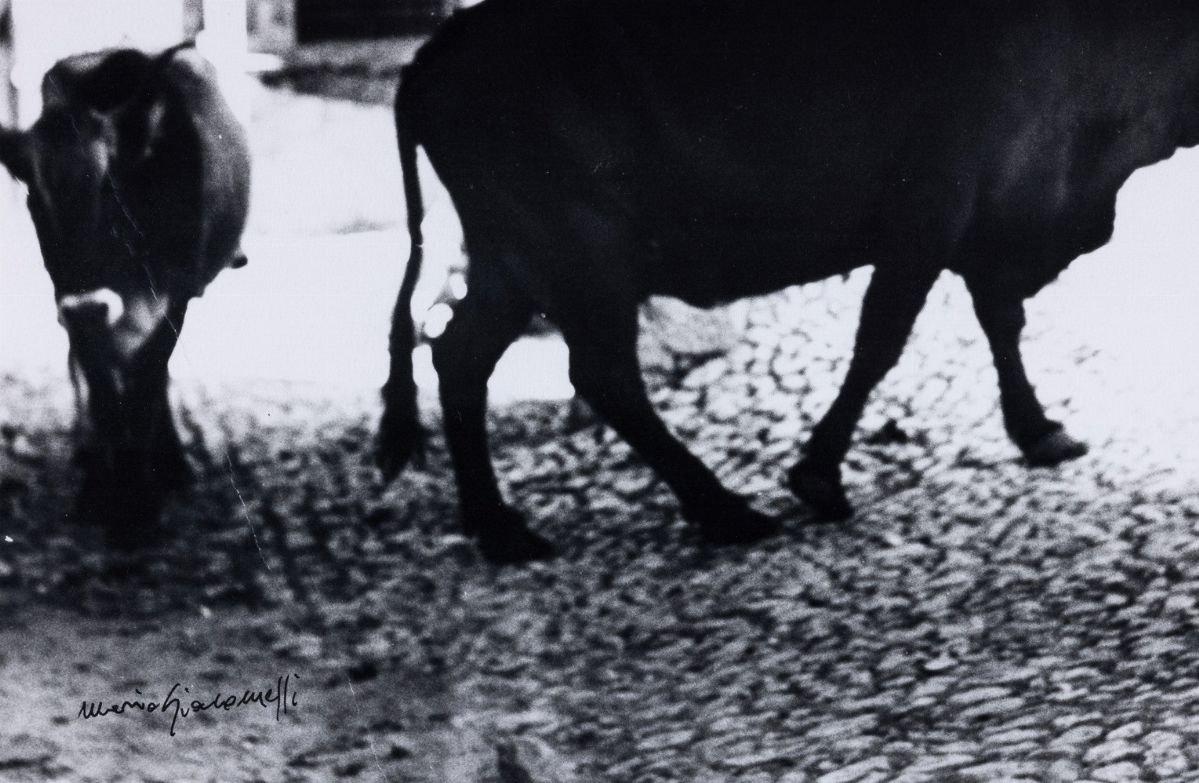 Mario Giacomelli - Scanno