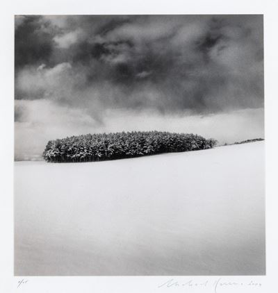 White Copse, Study 2wakkanai, Hokkaido, Japan