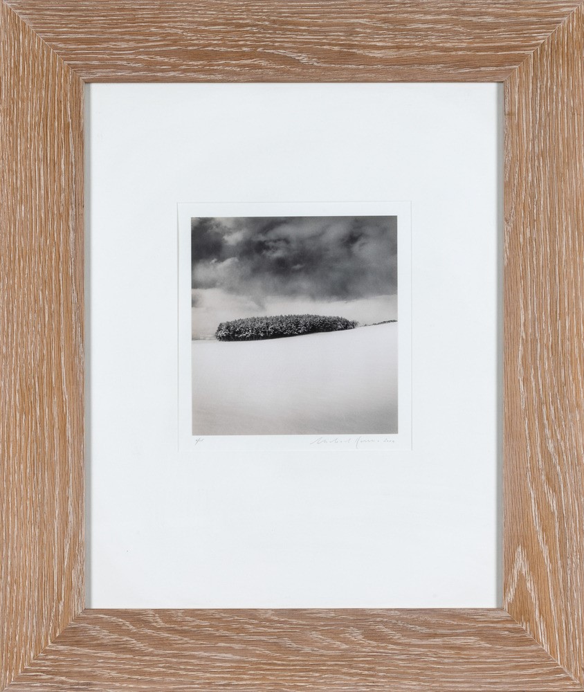 Michael Kenna - White Copse, Study 2wakkanai, Hokkaido, Japan