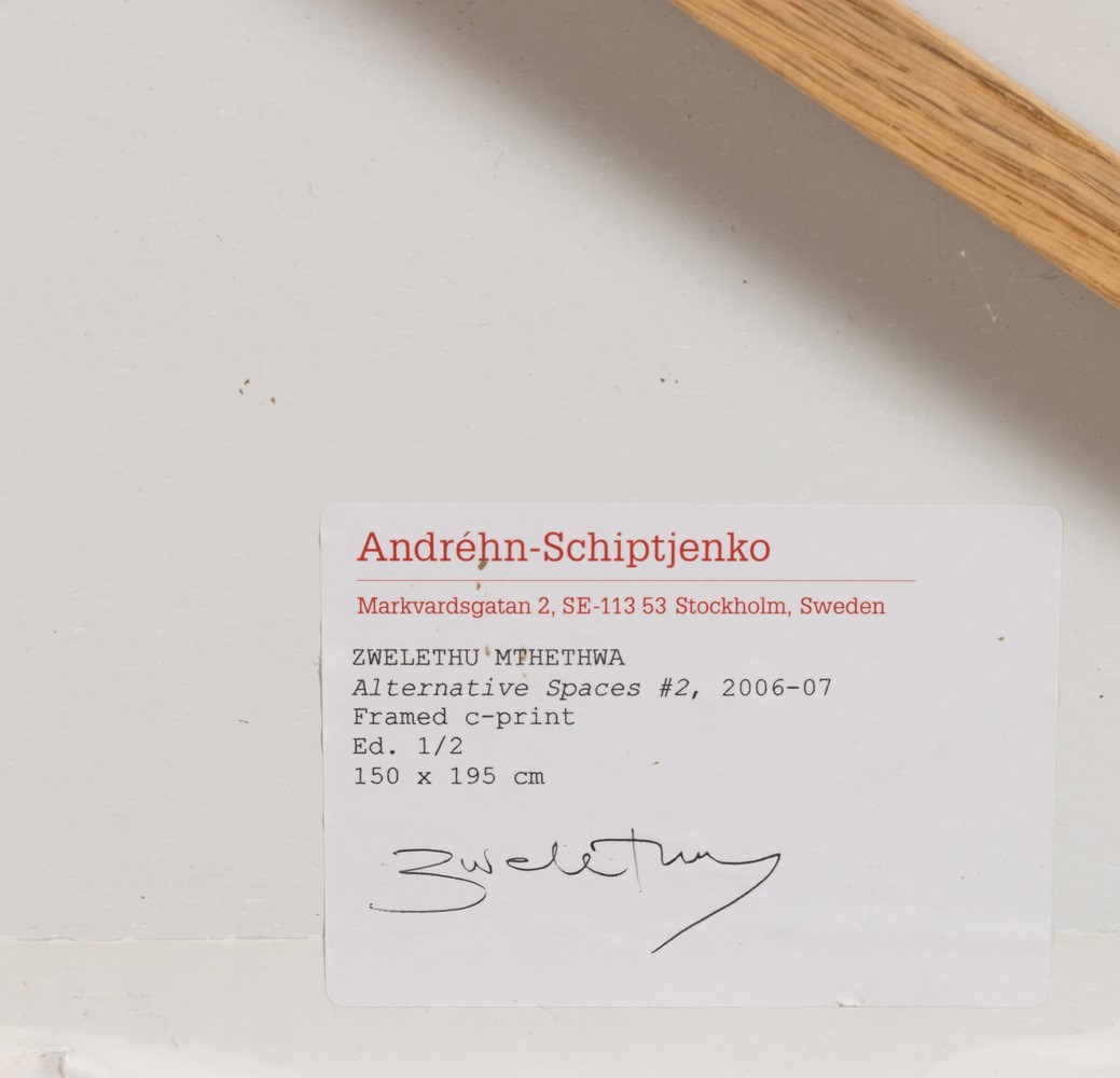 Zwelethu Mthethwa - Alternative Spaces 2