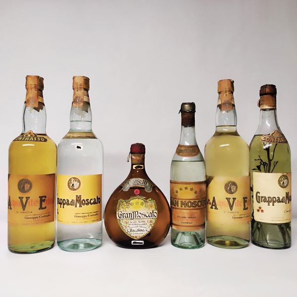 Bocchino Giuseppe Canelli, Grappa