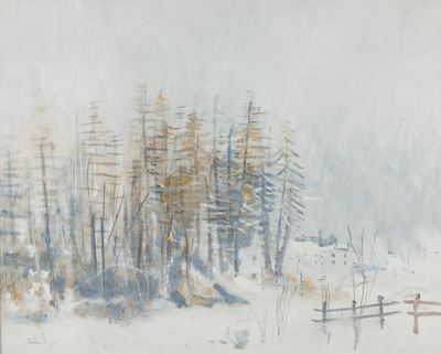 Nevicata