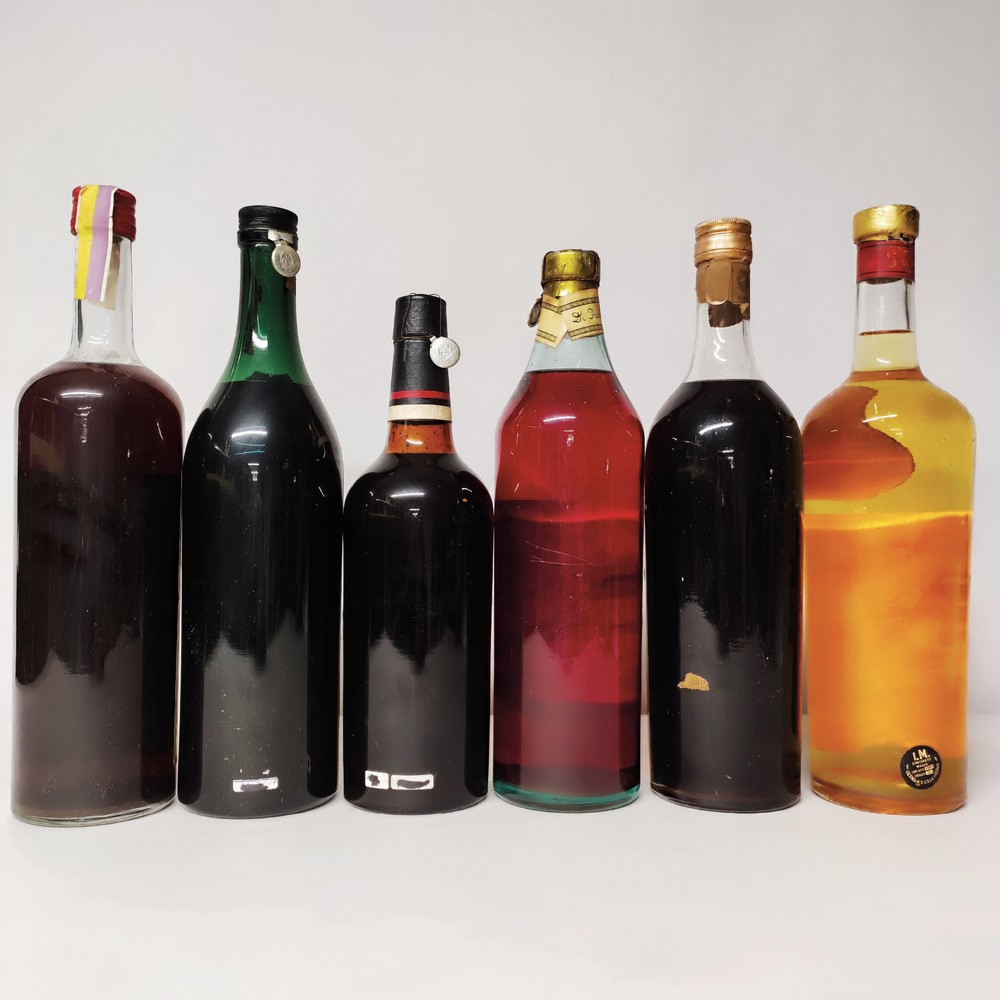 Canellese, Margot, Reatto, Puccio, Ferrol, Benvenuti, Aperitivo