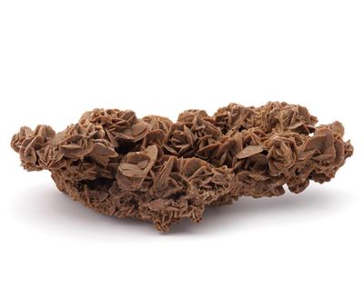 Rosa del Deserto