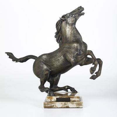Cavallo Selvaggio