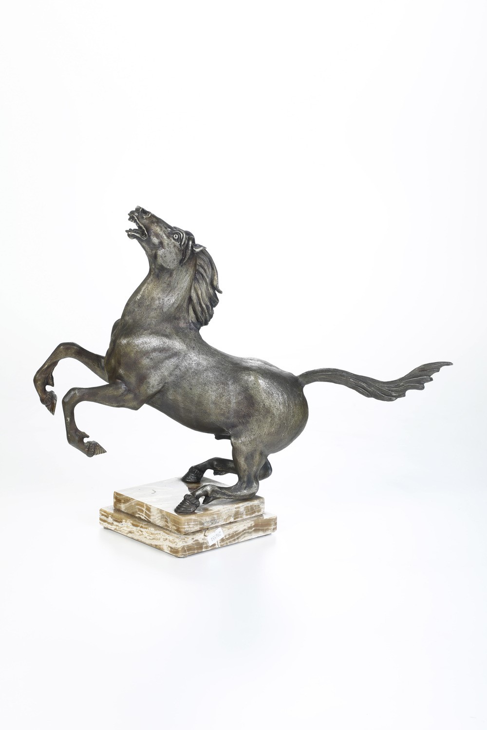 Giuseppe Vasari - Cavallo Selvaggio