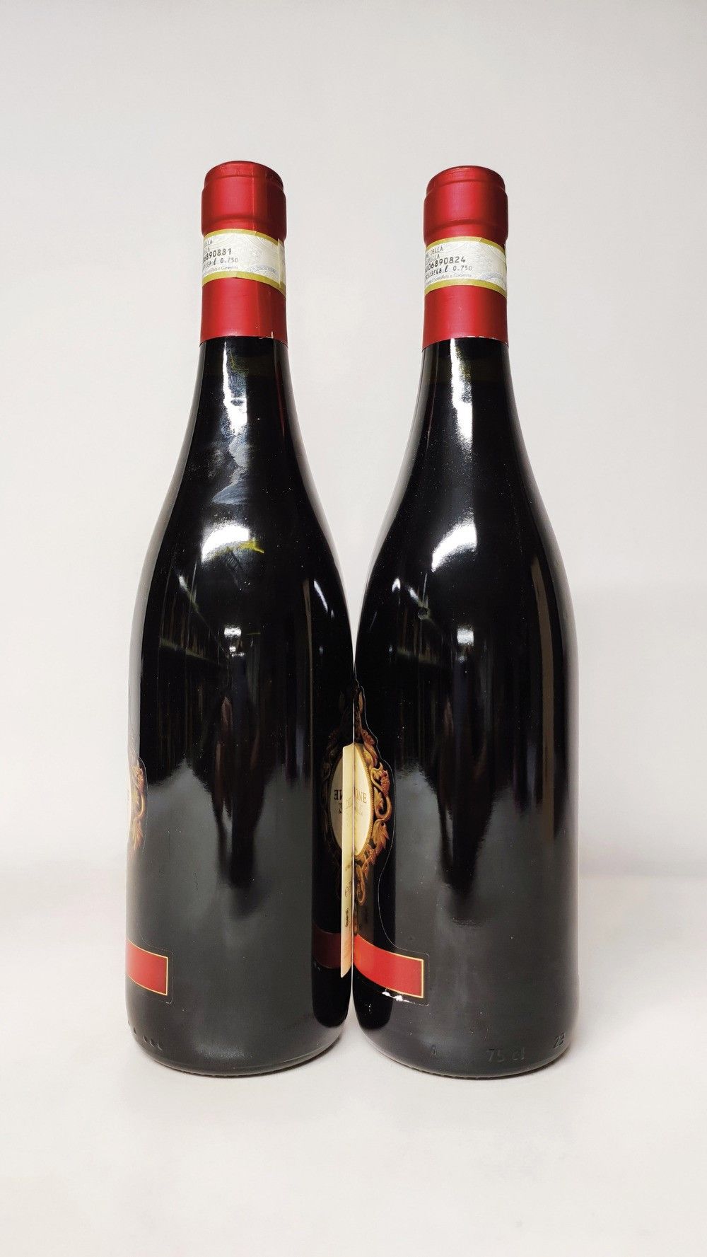 Santi, Amarone della Valpolicella 2011