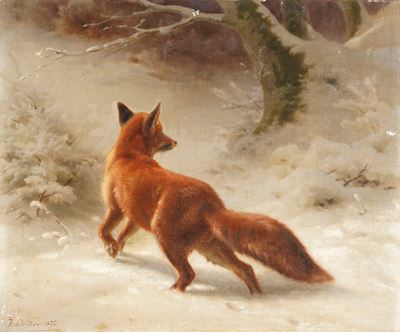 Volpe nella Neve