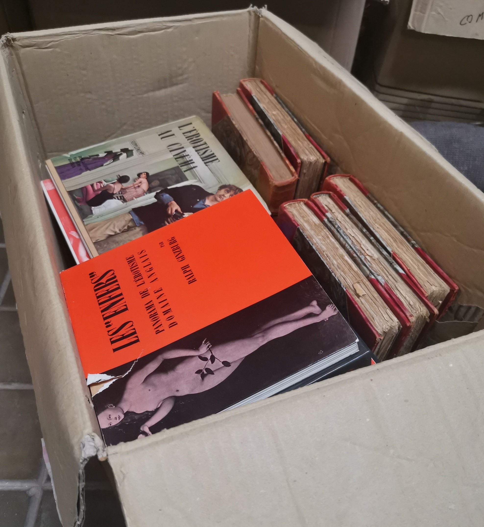 Libri Erotici e Galanti Raccolta di 34 Libri di Argomento Licenzioso in Edizione del Sec XX.