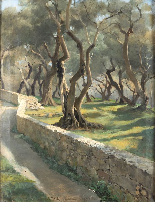 Gustav Zorn - Bordighera 1883, Ulivi