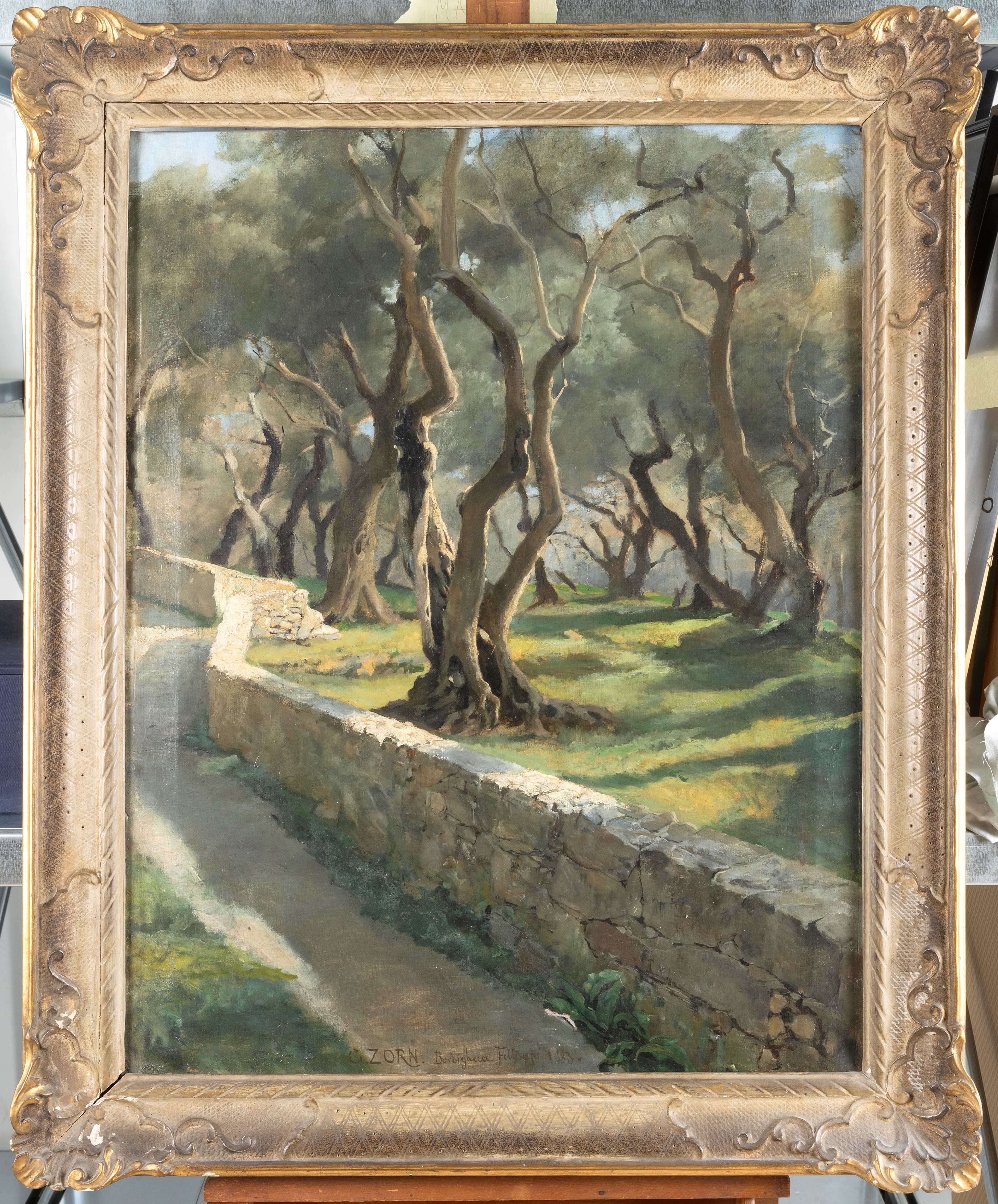 Gustav Zorn - Bordighera 1883, Ulivi