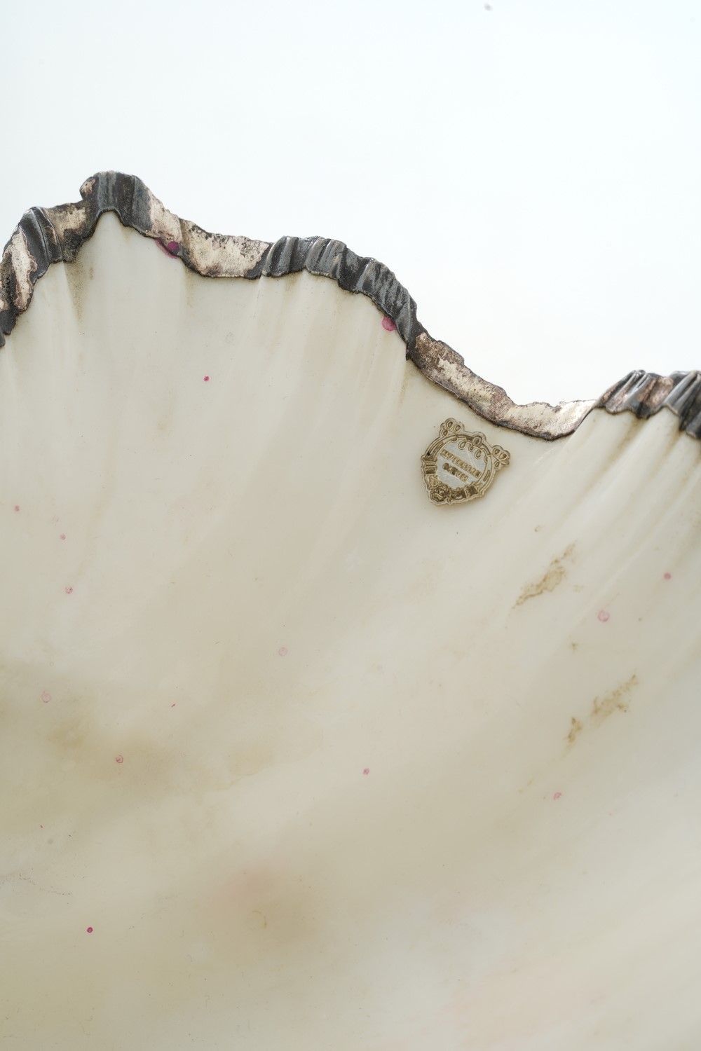 Grande Conchiglia Rivestita in Argento. Etichetta a Scudo Mario Buccellati. Italia, XX-XXI Secolo