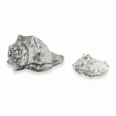 Due Conchiglie Rivestite in Argento. Etichetta a Scudo Mario Buccellati. Italia, XX-XXI Secolo